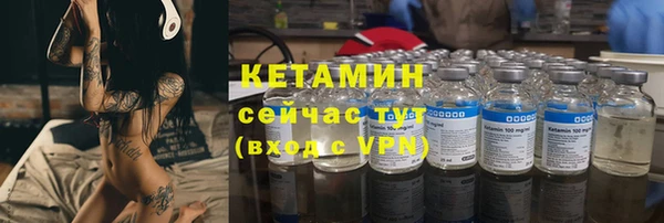 сатива Балахна