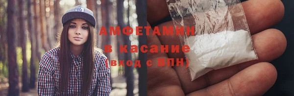 сатива Балахна