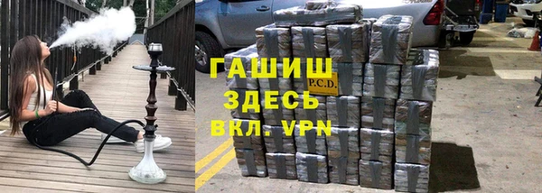сатива Балахна