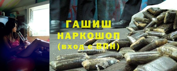 сатива Балахна